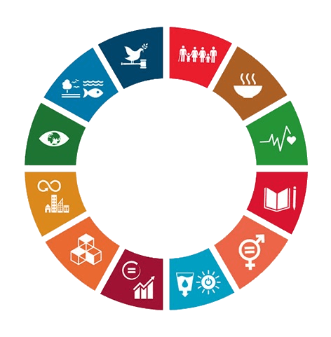 Objetivos de Desarrollo Sostenible de la ONU